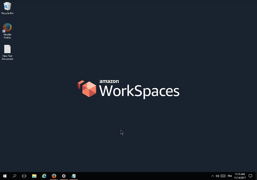 WorkAnySpace Cloud Desktop Example – Full Windows Desktop in Browser